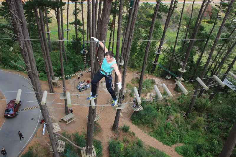 Adrenalin Forest