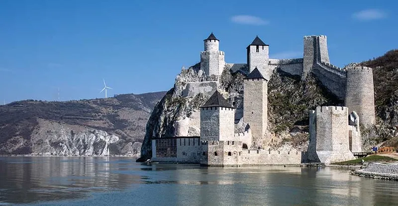 ''Peristeron'' Golubac