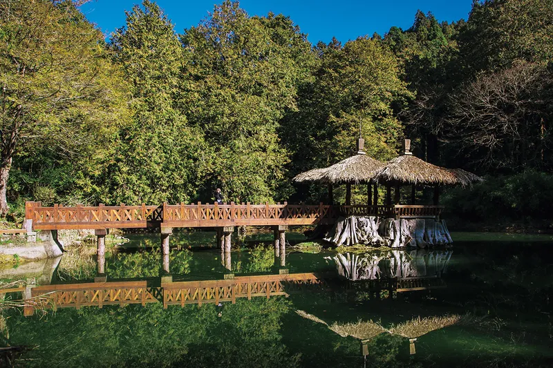Alishan National Forest Recreation Area