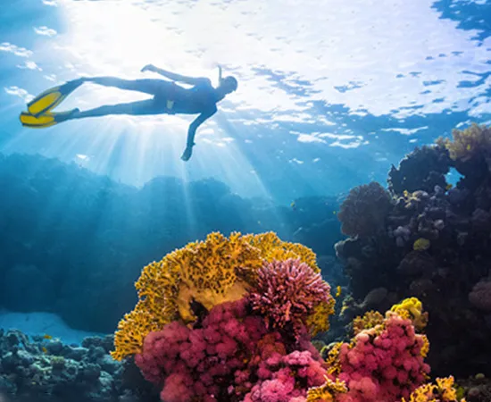 Aquarium de Paris